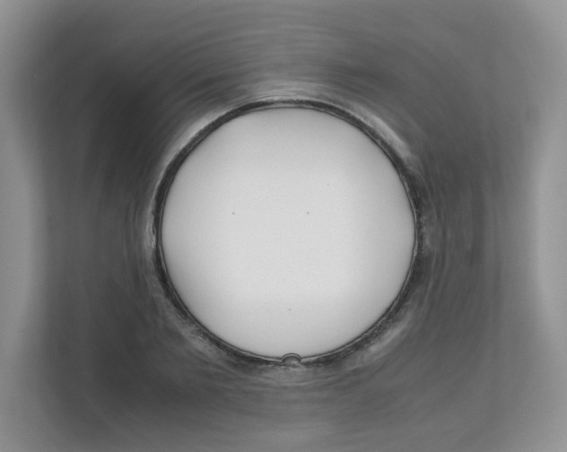 X0000111500885200908041200