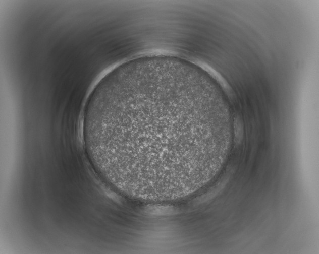 X0000111500886200908041200