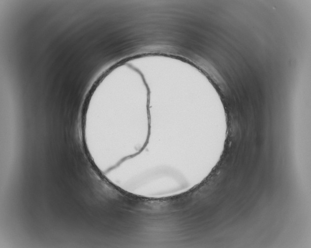 X0000111500888200908041200