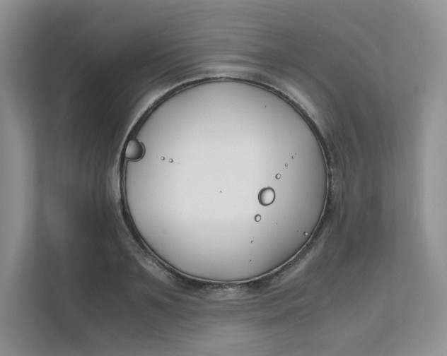 X0000111500891200908041200