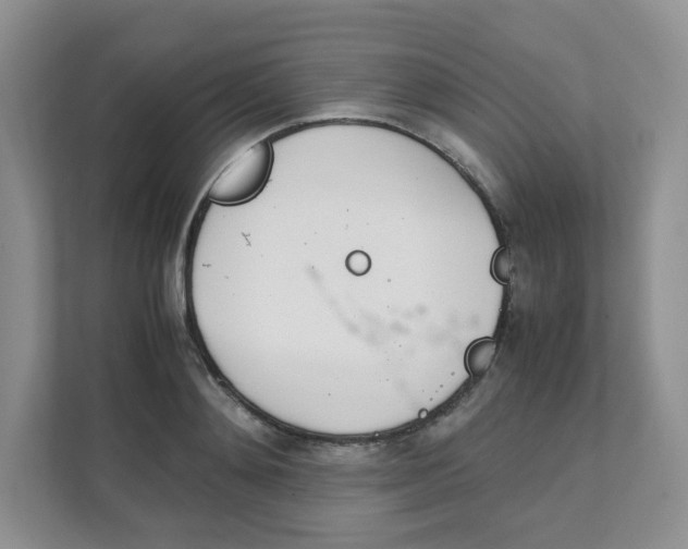 X0000111500892200908041200