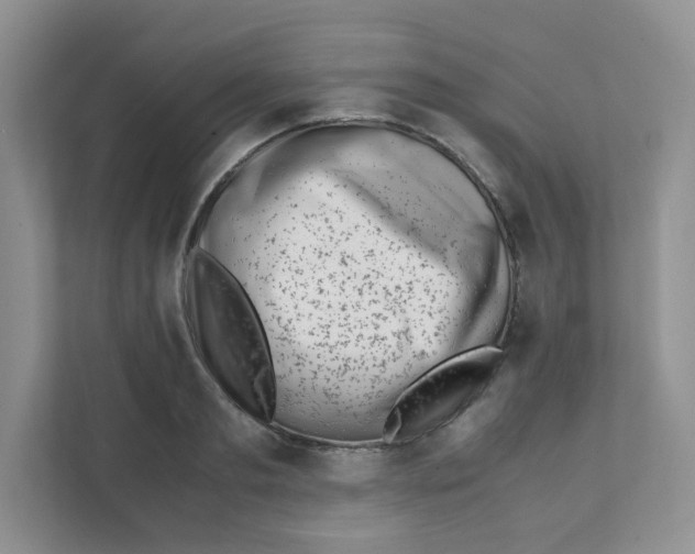 X0000111500893200908041200