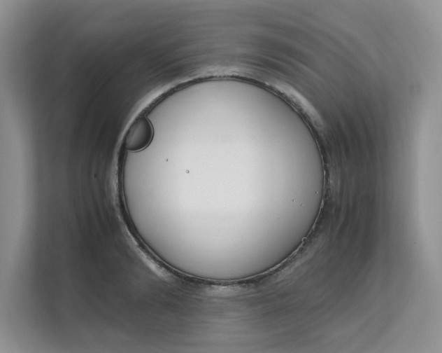 X0000111500894200908041200