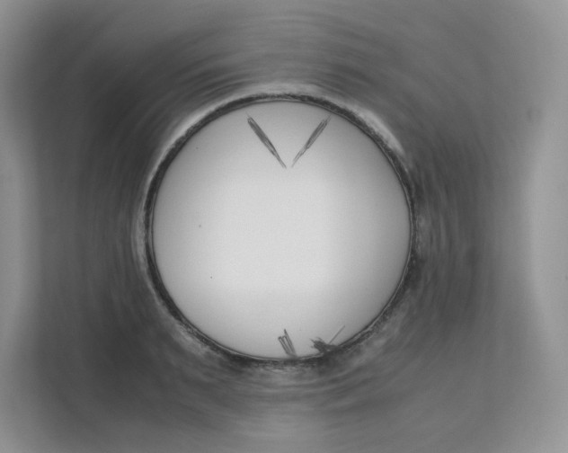 X0000111500895200908041200