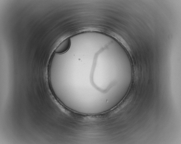 X0000111500898200908041200