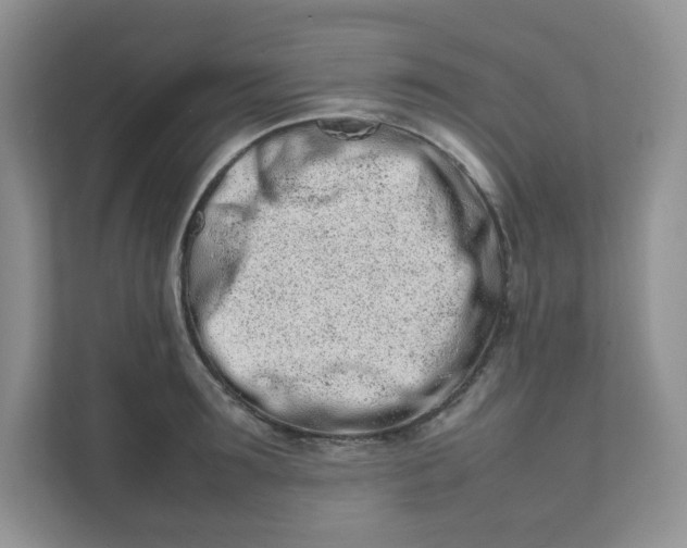 X0000111500899200908041200