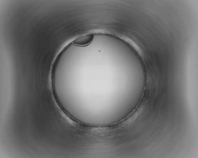 X0000111500902200908041200