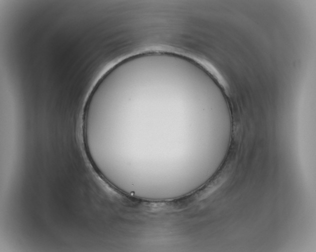 X0000111500903200908041200