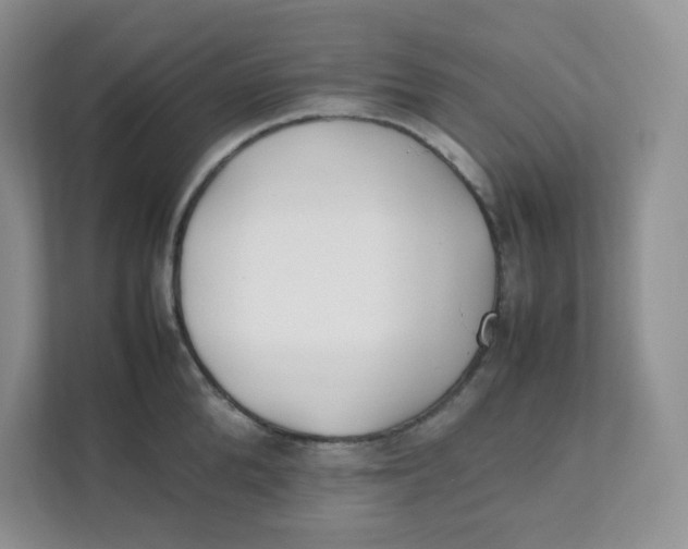 X0000111500904200908041200