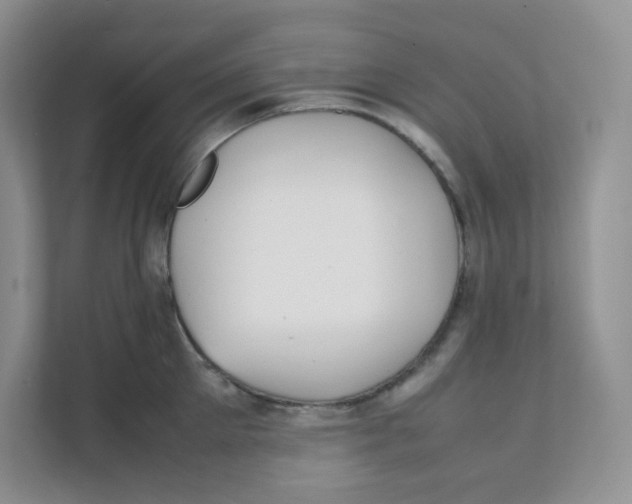 X0000111500905200908041200