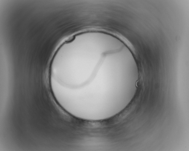 X0000111500911200908041200