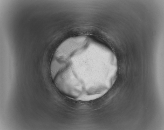 X0000111500913200908041159