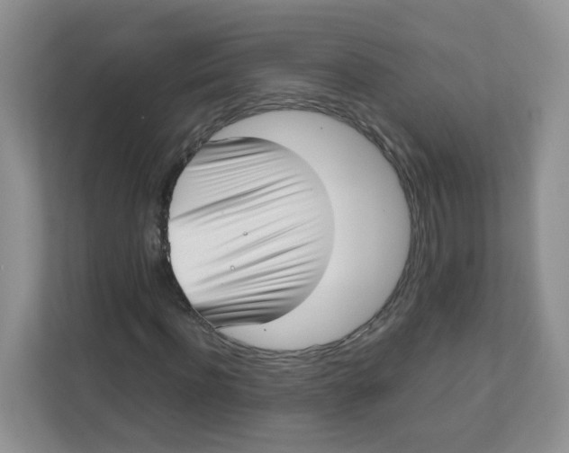 X0000111500916200908041159