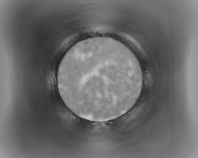 X0000111500918200908041159