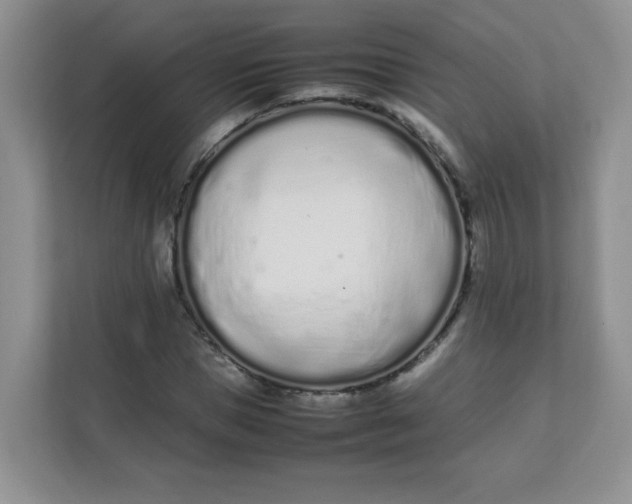 X0000111500921200908041159