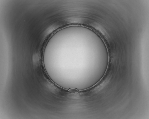 X0000111500922200908041159