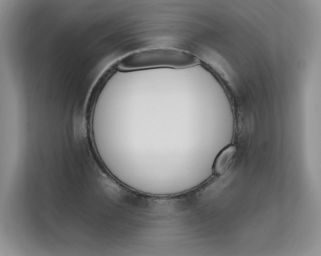 X0000111500924200908041159