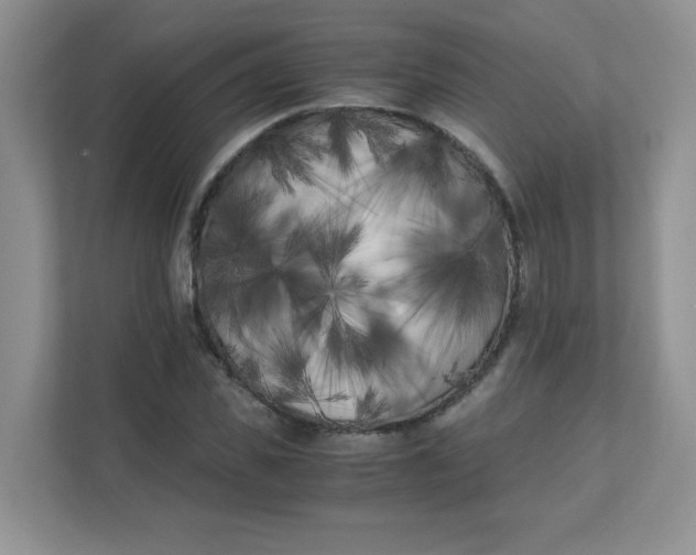 X0000111500925200908041159