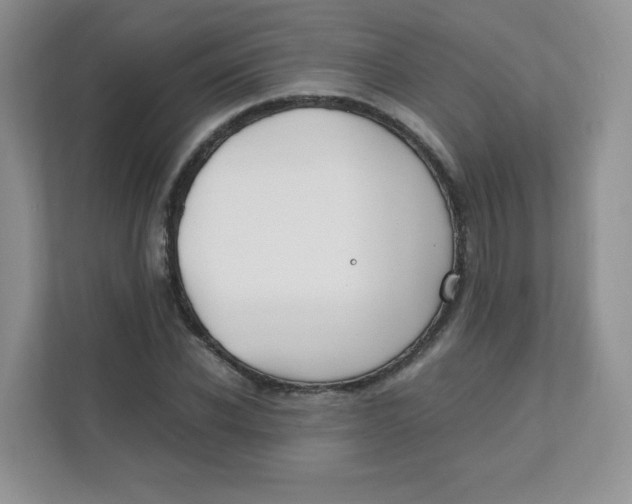 X0000111500926200908041159