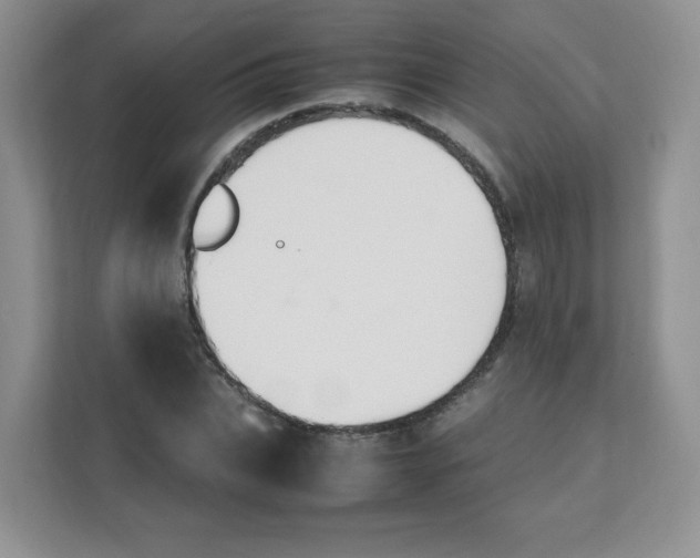 X0000111500927200908041159