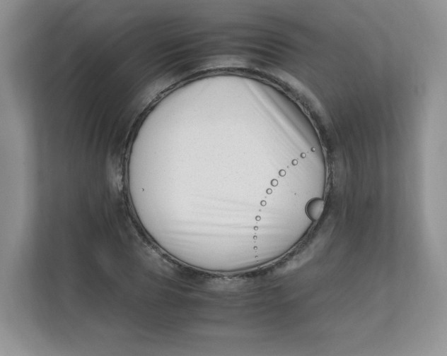 X0000111500929200908041159