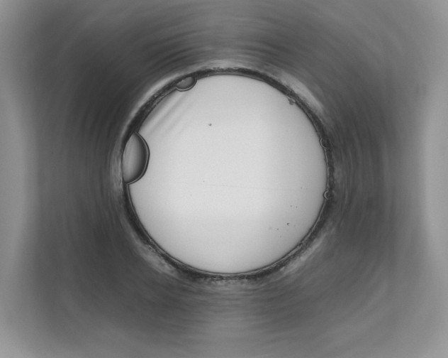 X0000111500934200908041159