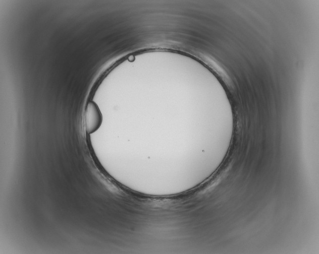 X0000111500940200908041159