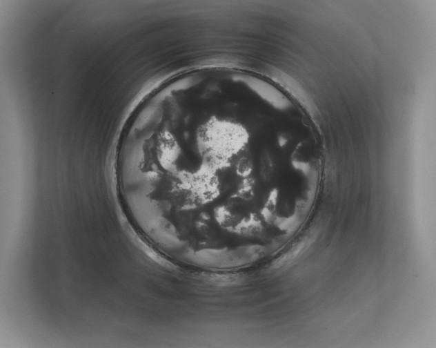 X0000111500941200908041159