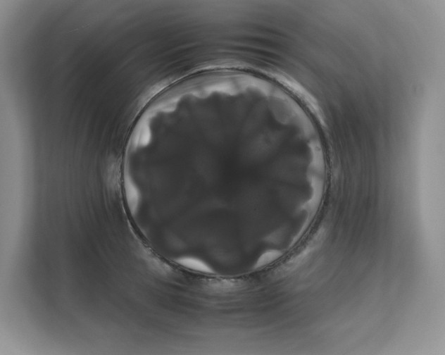 X0000111500945200908041159