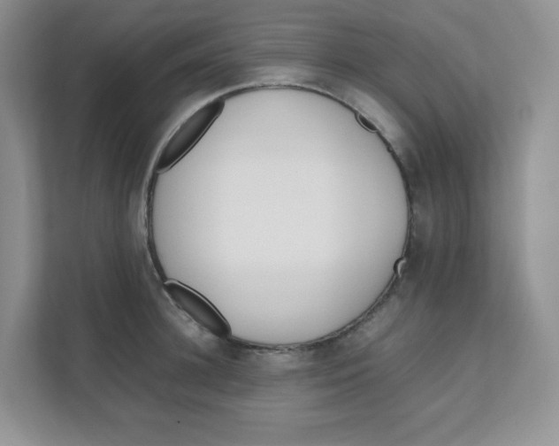 X0000111500948200908041159