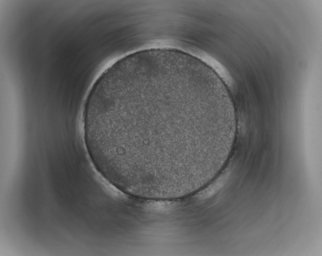 X0000111500950200908041159