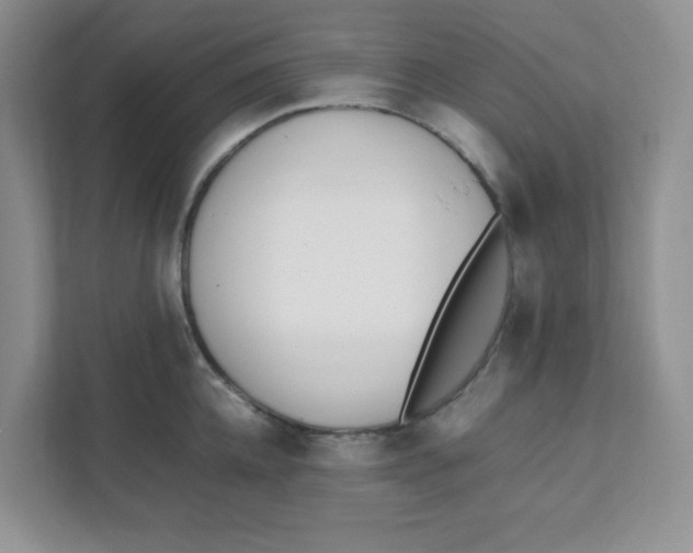 X0000111500952200908041159