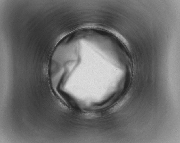 X0000111500953200908041159