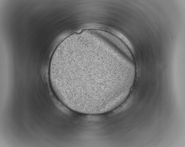 X0000111500954200908041159