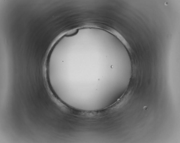 X0000111500955200908041159