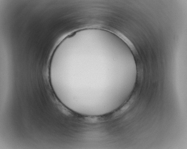 X0000111500956200908041159