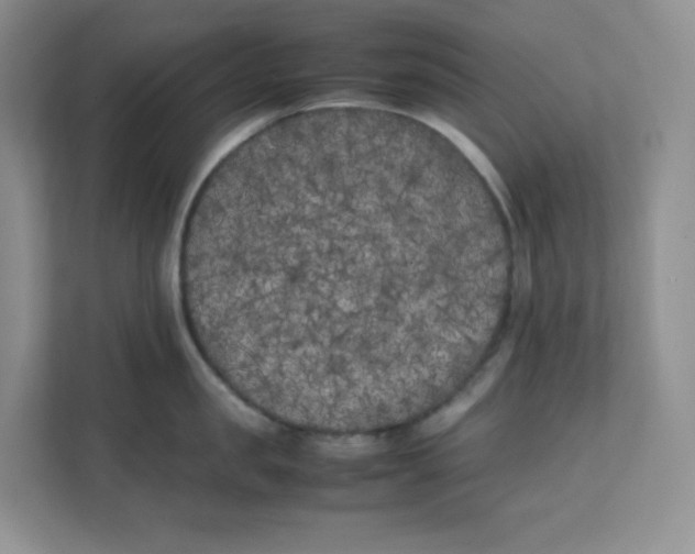 X0000111500957200908041159