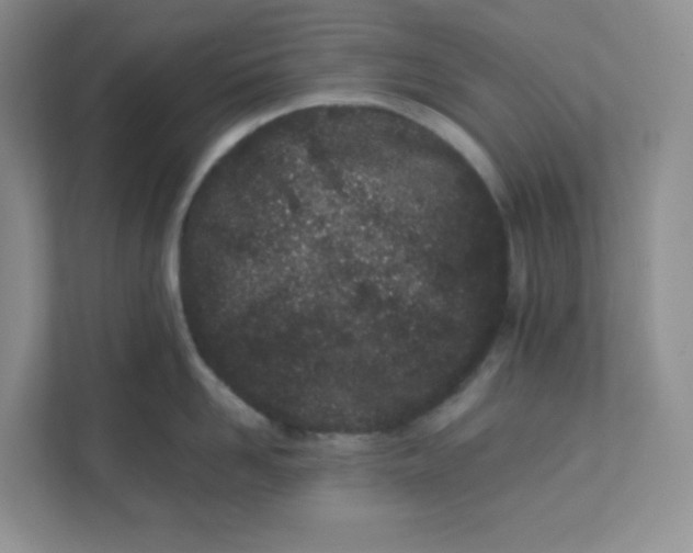 X0000111500958200908041159