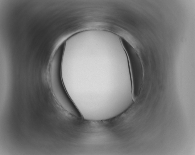 X0000111500960200908041200