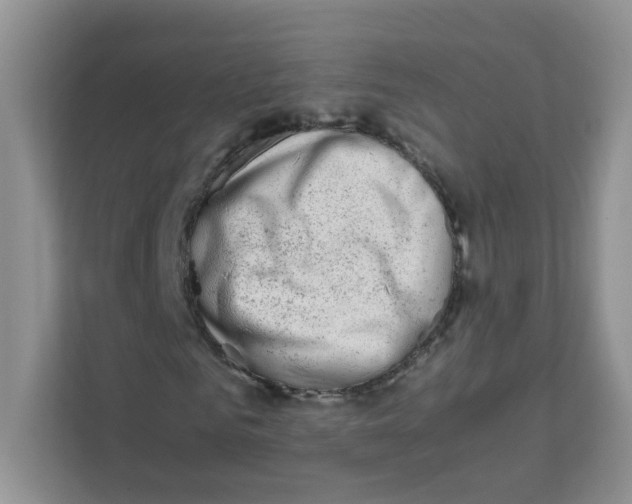 X0000111500961200908041159