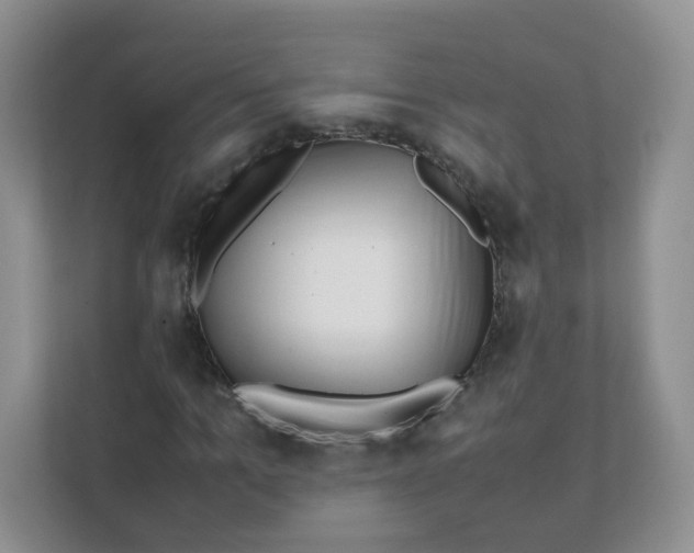 X0000111500965200908041159