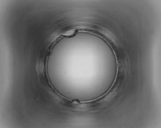 X0000111500969200908041159