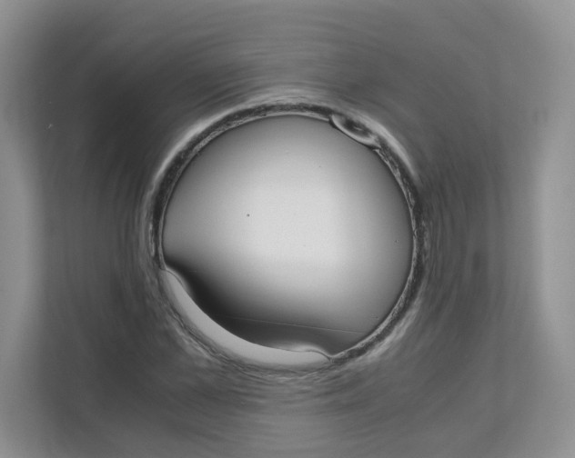 X0000111500973200908041159