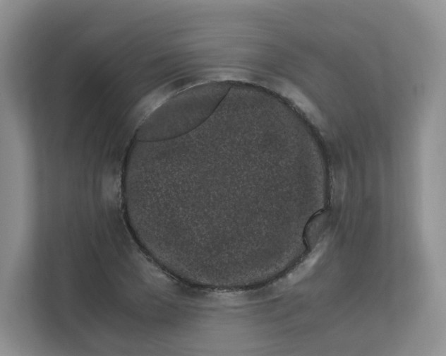 X0000111500977200908041159