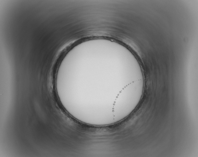 X0000111500979200908041159