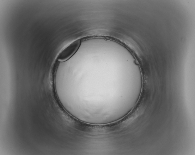 X0000111500981200908041159