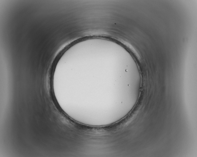 X0000111500983200908041159