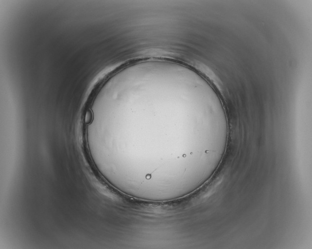 X0000111500987200908041159