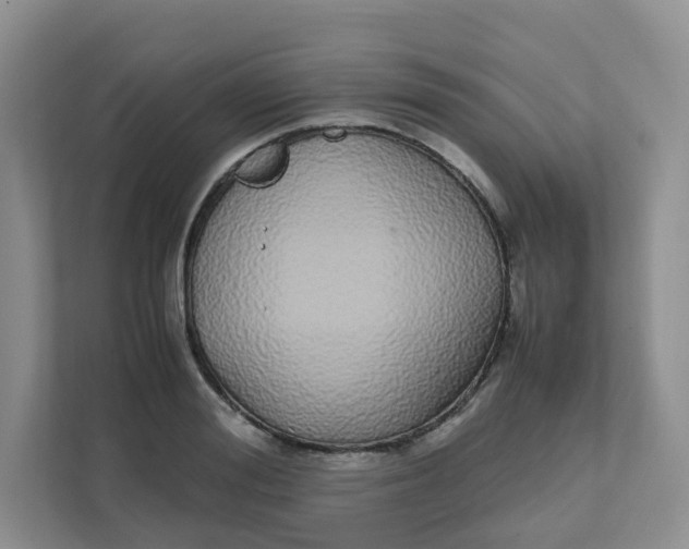 X0000111500988200908041159