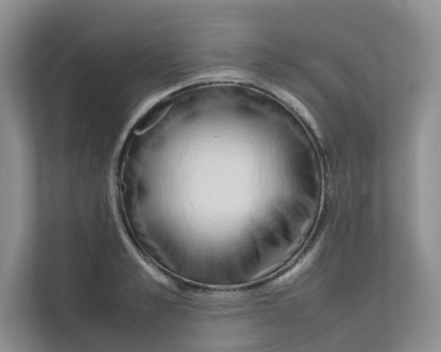 X0000111500989200908041159